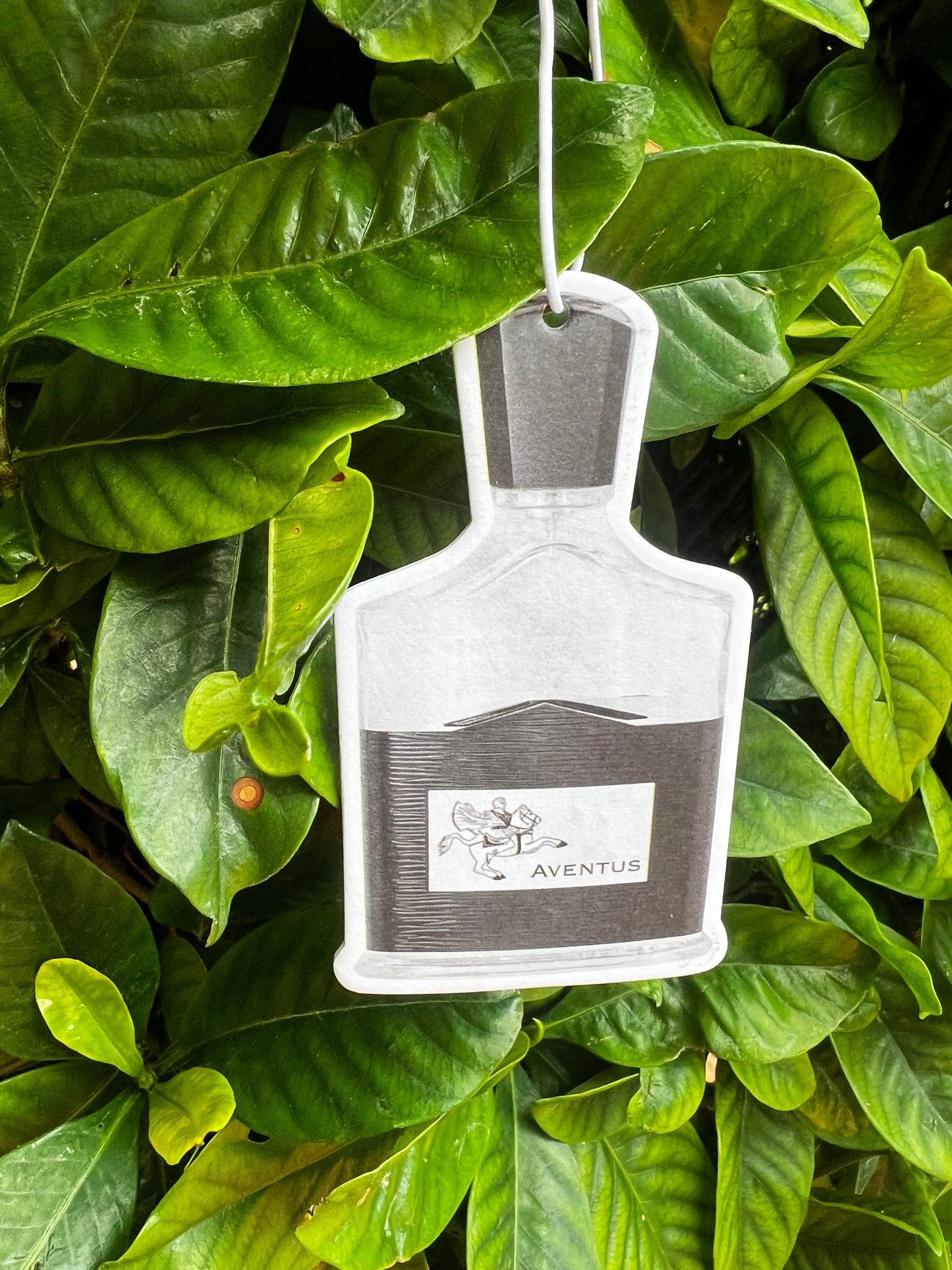Car Air-freshener Dupes π