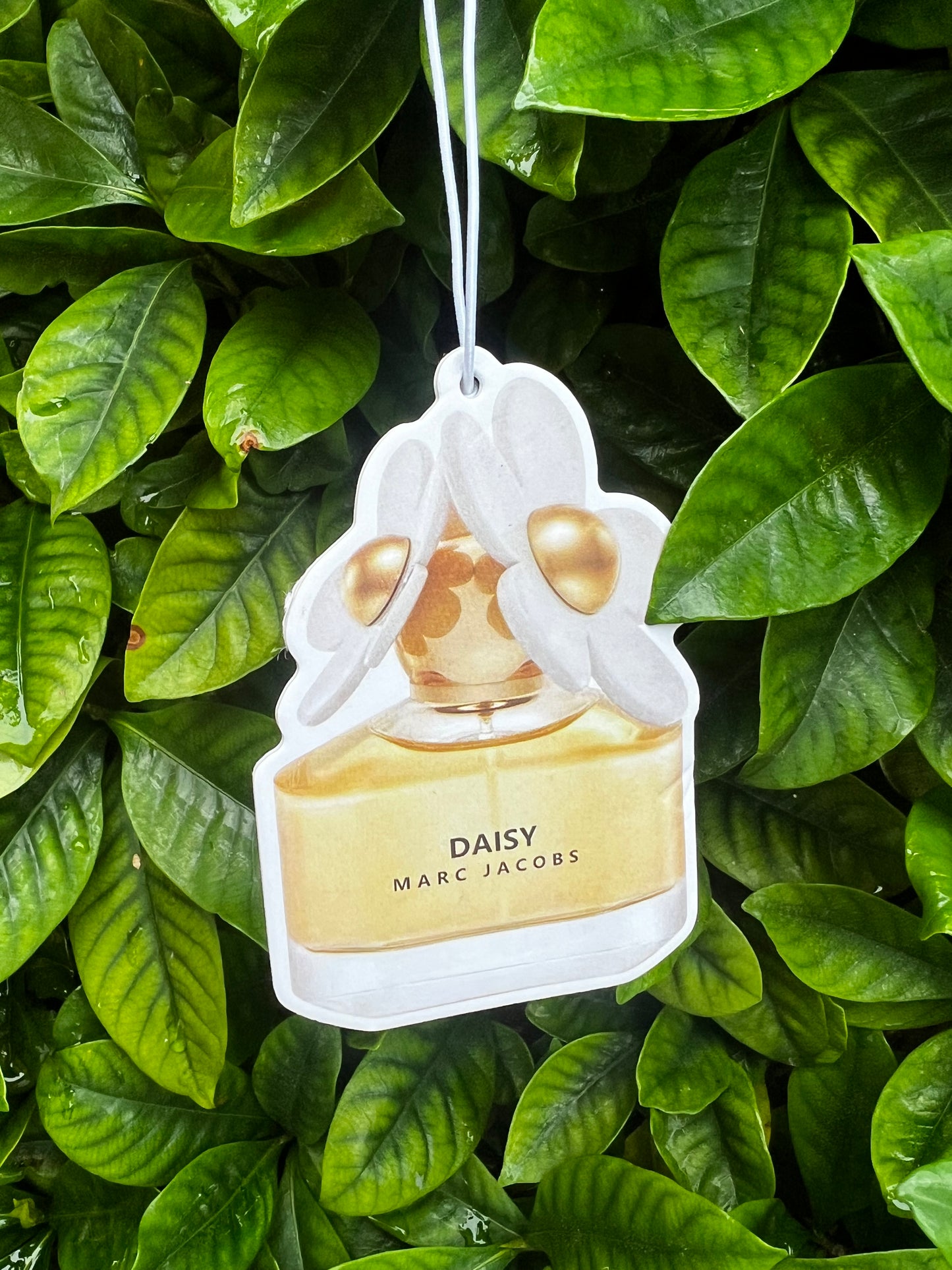 Car Air-freshener Dupes π
