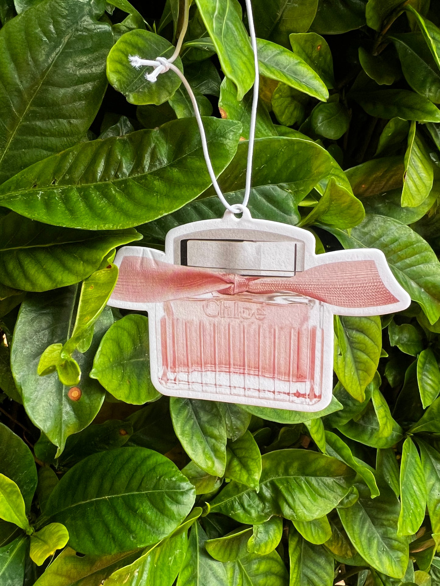 Car Air-freshener Dupes π