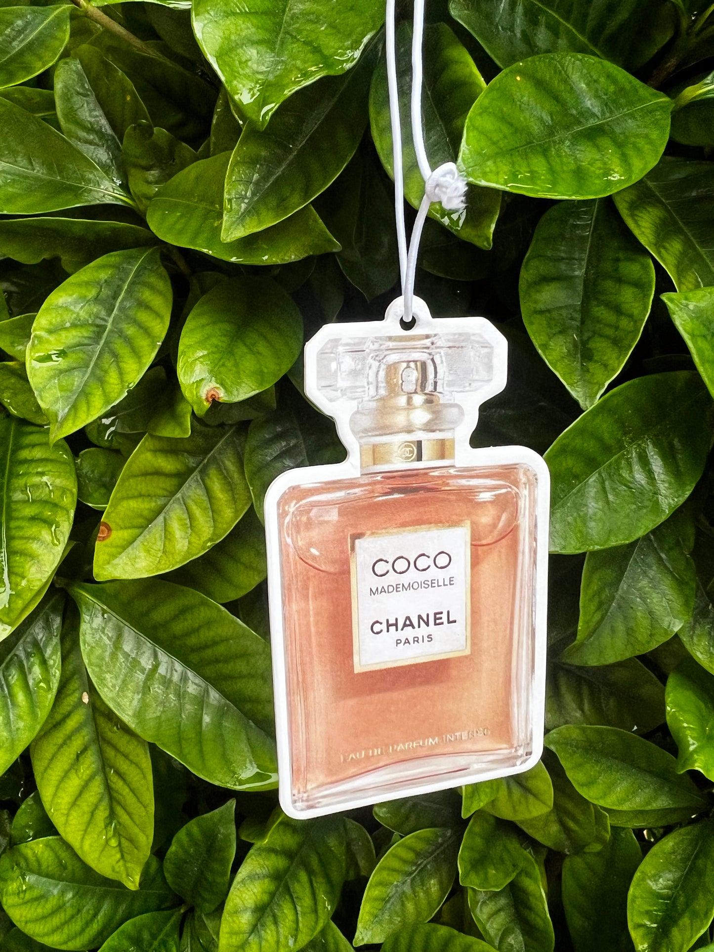 Car Air-freshener Dupes π