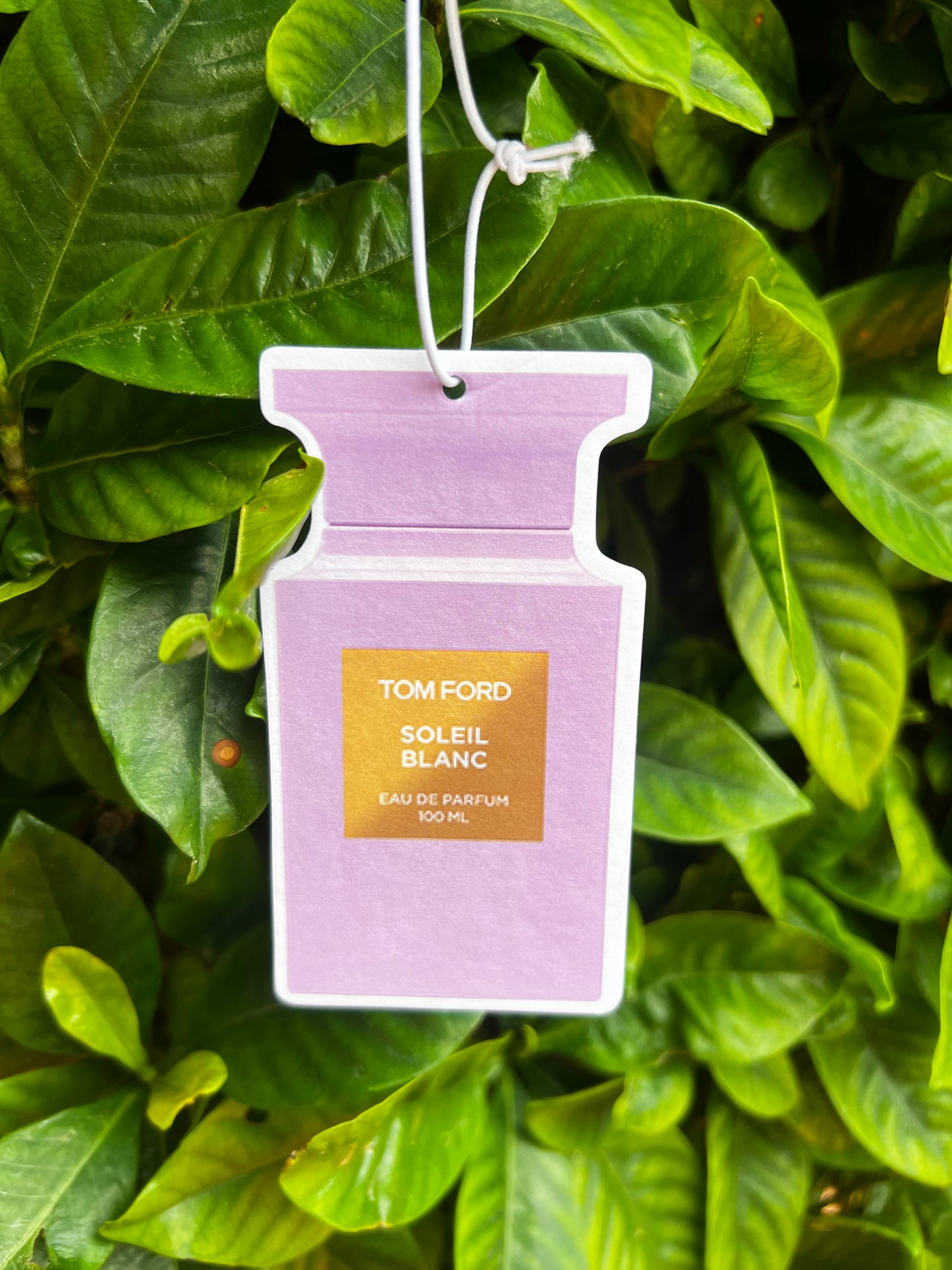 Car Air-freshener Dupes π