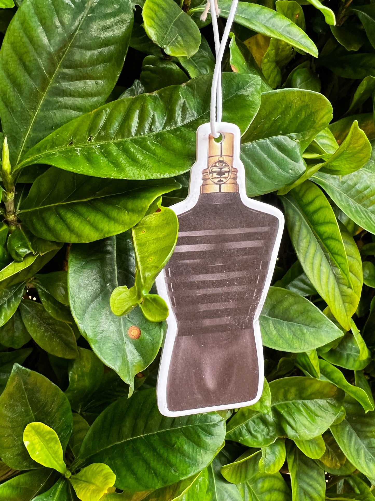 Car Air-freshener Dupes π