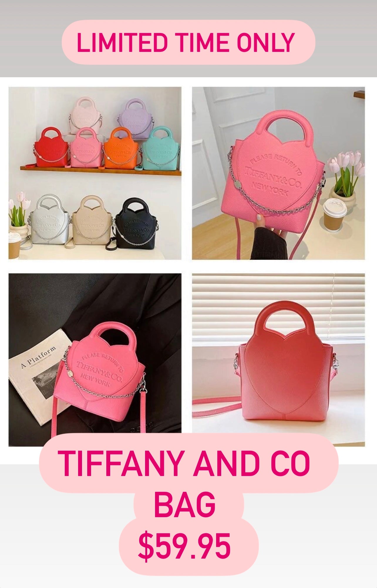 Ladies bag π