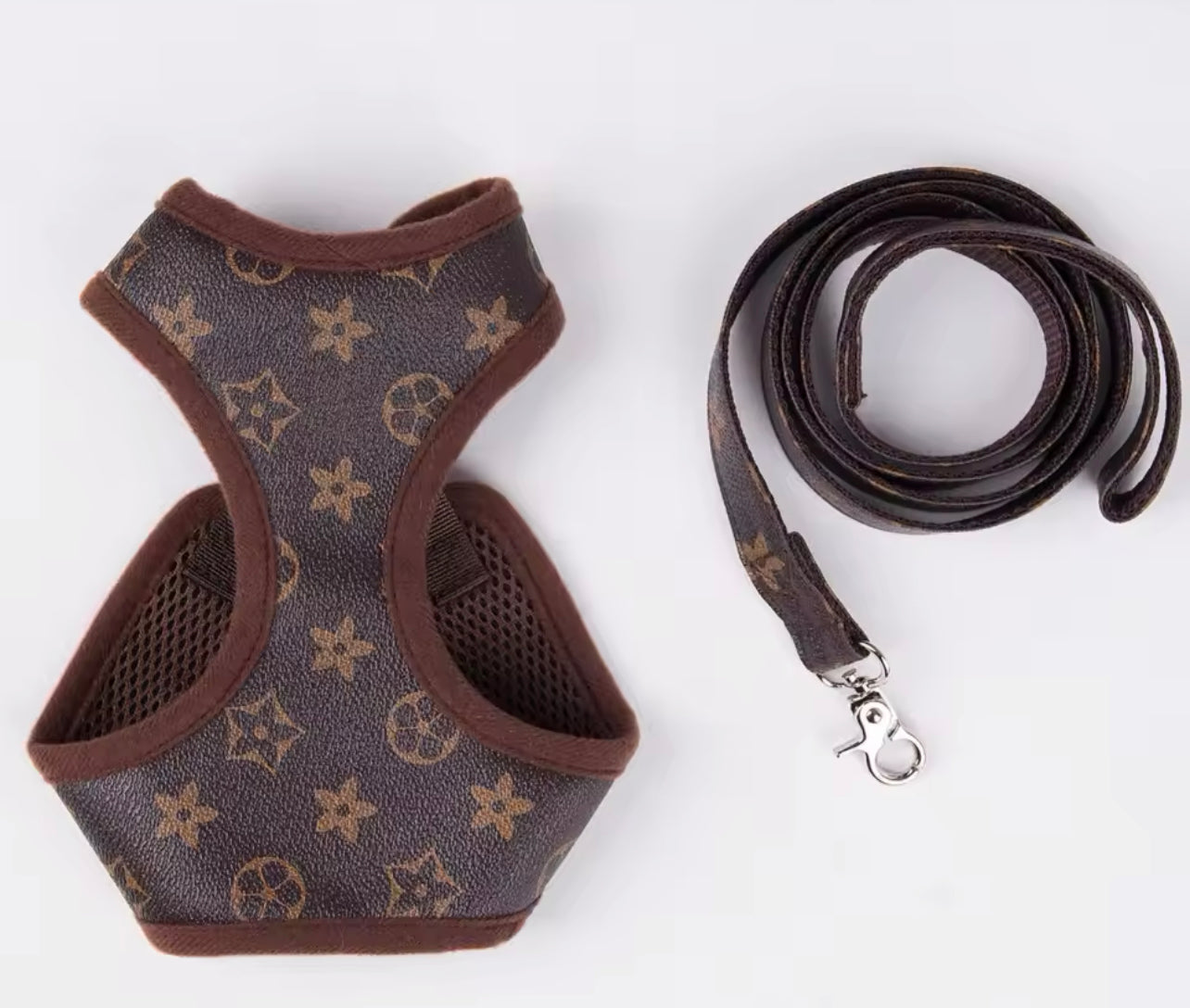 Dog Leash π