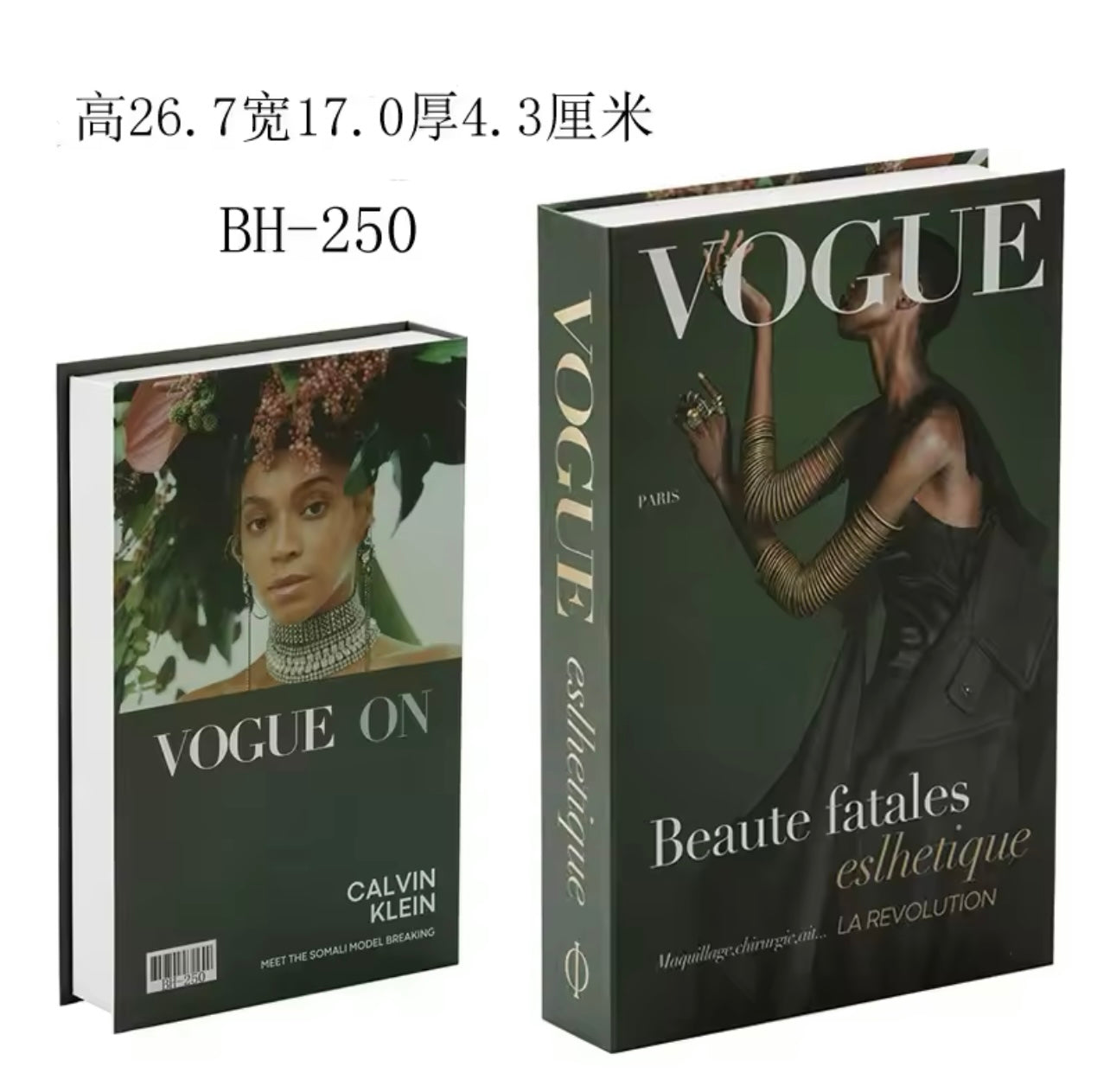 Faux books
