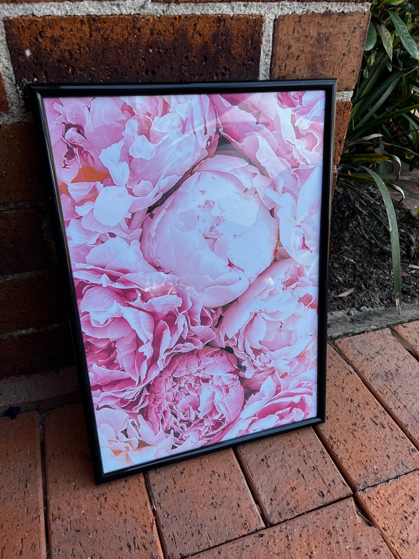 Single A3 prints