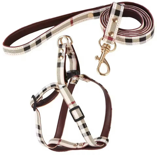 Pet chest harness & Lead