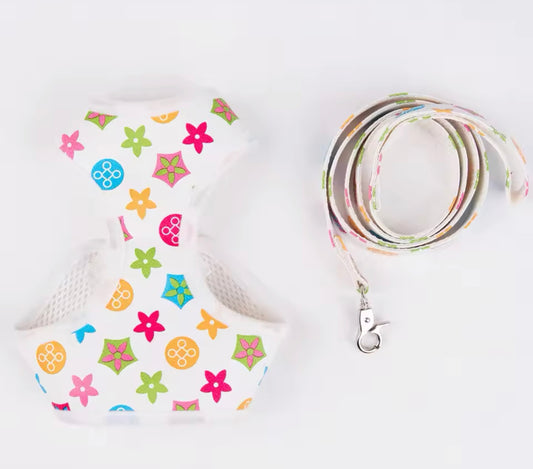 Dog Leash 💕