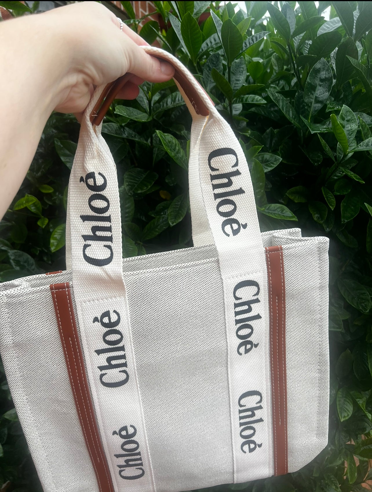 Ladies bag